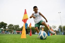 轮椅击剑选手陈利强：追梦不服输